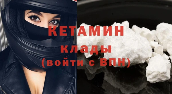стаф Аркадак