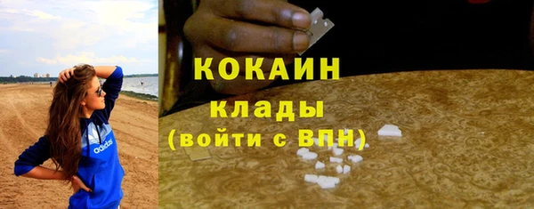 стаф Аркадак
