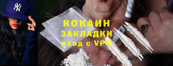 стаф Аркадак