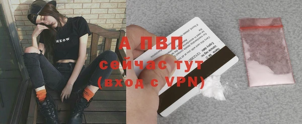 ALPHA-PVP Новозыбков
