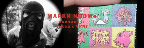 стаф Аркадак