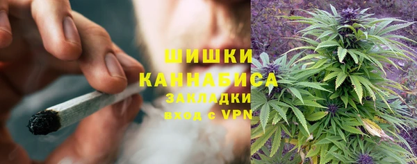 стаф Аркадак