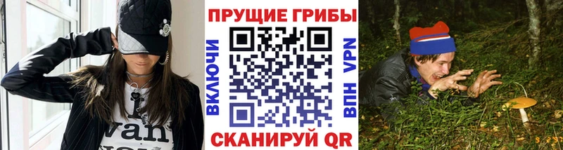 Псилоцибиновые грибы мицелий где купить наркоту Полярные Зори